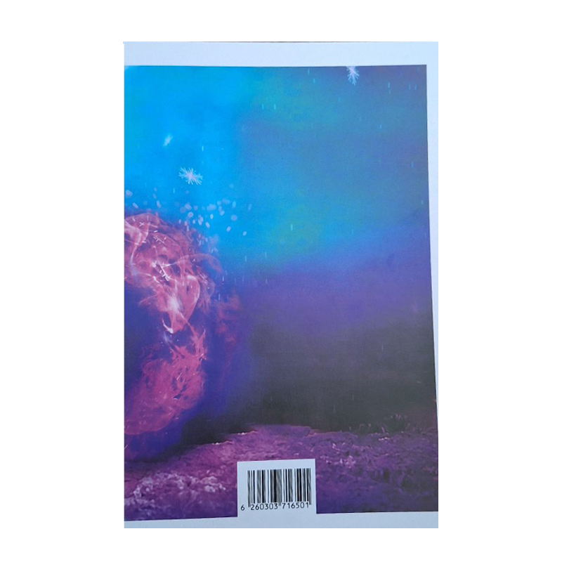 دفتر مشق 40 برگ طرح مارمولک - Image 2